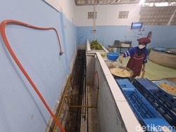 Energi di Balik Dapur MBG, Asa Generasi Indonesia Sehat dan Cerdas Energi di Balik Dapur MBG, Asa Generasi Indonesia Sehat dan Cerdas