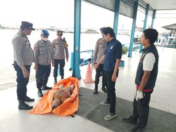 Masnah Ditemukan Tewas Mengapung di Sungai Musi, Diduga Depresi Masnah Ditemukan Tewas Mengapung di Sungai Musi, Diduga Depresi