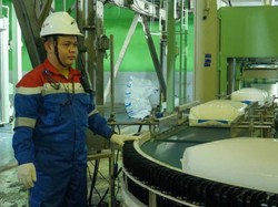 Polytam Si Butir Kecil Andalan Kilang Plaju Terverifikasi Halal-Food Grade