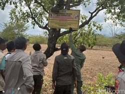 Petugas Lagi-lagi Temukan Jalur Pendakian Ilegal di Tambora, Total Sudah Enam Petugas Lagi-lagi Temukan Jalur Pendakian Ilegal di Tambora, Total Sudah Enam