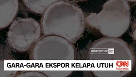 VIDEO: Gara-Gara Ekspor Kelapa Utuh