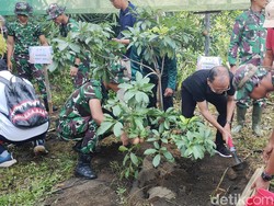 Antisipasi Banjir, Bali Tanam 35 Ribu Pohon dan Bersih-bersih 492 Km Sungai Antisipasi Banjir, Bali Tanam 35 Ribu Pohon dan Bersih-bersih 492 Km Sungai