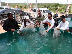 Kementrans Proyeksikan Kawasan Transmigrasi Barelang Jadi Wisata Terpadu Kementrans Proyeksikan Kawasan Transmigrasi Barelang Jadi Wisata Terpadu