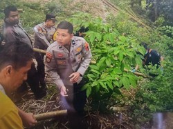 Mayat Bayi Terpotong 3 Ditemukan di Ngarai Sianok: Kepala-Badan Terpisah Mayat Bayi Terpotong 3 Ditemukan di Ngarai Sianok: Kepala-Badan Terpisah