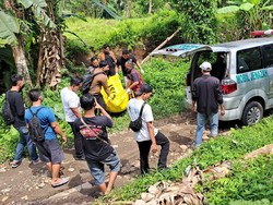 Mandor Proyek Tewas Mengenaskan di Subak Gianyar, Polisi Temukan Gergaji Mandor Proyek Tewas Mengenaskan di Subak Gianyar, Polisi Temukan Gergaji
