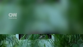 VIDEO: Selip Lidah di KTT ASEAN, Presiden Prabowo Dipanggil Jokowi