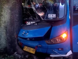 Bus Damri di Bandung Tabrak Pohon, Sopir Sempat Terjepit Bus Damri di Bandung Tabrak Pohon, Sopir Sempat Terjepit