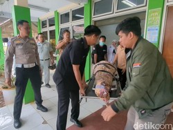 2 Korban Tewas Akibat Bus Terguling di Tol Batang Ibu-Anak 2 Korban Tewas Akibat Bus Terguling di Tol Batang Ibu-Anak