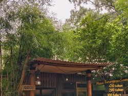 Kedai View Air Terjun Gunung Baung, Hanya 1 Jam dari Sidoarjo