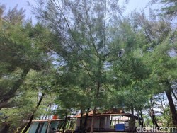 Heboh Festival Lampion Jadi Hujan Api di Pantai Gua Cemara Bantul Heboh Festival Lampion Jadi Hujan Api di Pantai Gua Cemara Bantul
