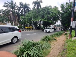 Detik-detik Pohon Tumbang di Pondok Indah Timpa Lexus hingga Pengemudi Tewas Detik-detik Pohon Tumbang di Pondok Indah Timpa Lexus hingga Pengemudi Tewas