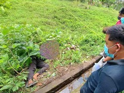 Mandor Proyek di Gianyar Dianiaya Sebelum Dibunuh, Ada 16 Bekas Luka Mandor Proyek di Gianyar Dianiaya Sebelum Dibunuh, Ada 16 Bekas Luka