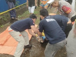 Lansia Ditemukan Tewas di Pinggir Jalan Kolaka, Diduga Korban Tabrak Lari Lansia Ditemukan Tewas di Pinggir Jalan Kolaka, Diduga Korban Tabrak Lari