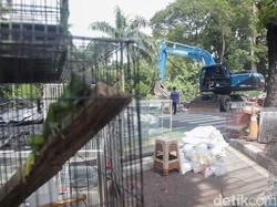 Video: Pasar Barito Dibongkar, Pedagang Pindah ke Sentra Fauna Lenteng Agung Video: Pasar Barito Dibongkar, Pedagang Pindah ke Sentra Fauna Lenteng Agung