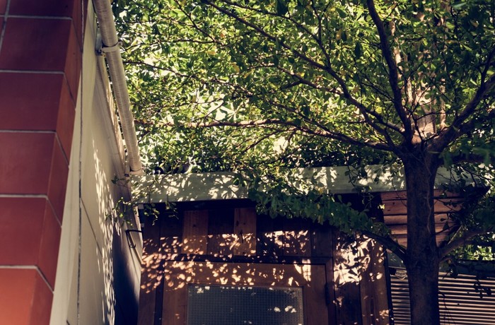 Cegah cahaya matahari langsung masuk ke dalam rumah dengan memberikan area teduh yang diisi pohon atau tanaman di dekat jendela. Dengan cara ini, panas dari sinar matahari sulit untuk menembus sampai rumah./ Foto: Freepik.com/rawpixel.com