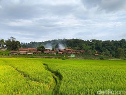 Menyusuri Pesona Objek Wisata Alam Desa Cibuntu Kuningan