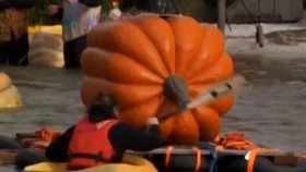 Uniknya Lomba Dayung Perahu dari Labu Raksasa di Belgia