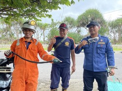 Kagetnya Elin Nyaris Ketimpa Kobra Saat Asyik Nonton Tv Kagetnya Elin Nyaris Ketimpa Kobra Saat Asyik Nonton Tv