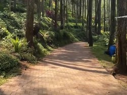 Healing Murah di Bumi Perkemahan Bedengan Malang