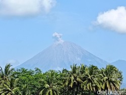 Status Waspada, Gunung Semeru Meletus 124 Kali dalam 24 Jam Status Waspada, Gunung Semeru Meletus 124 Kali dalam 24 Jam