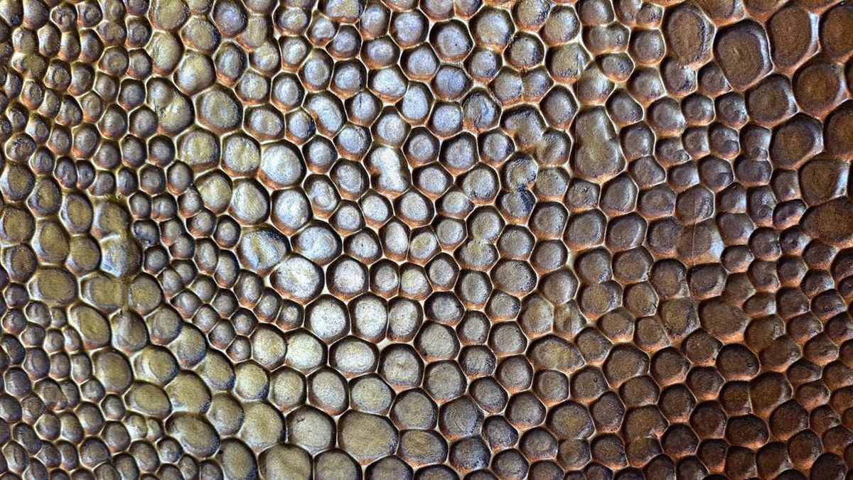 Bisa Dipicu Film 'Abadi Nan Jaya', Apa Itu Trypophobia?
