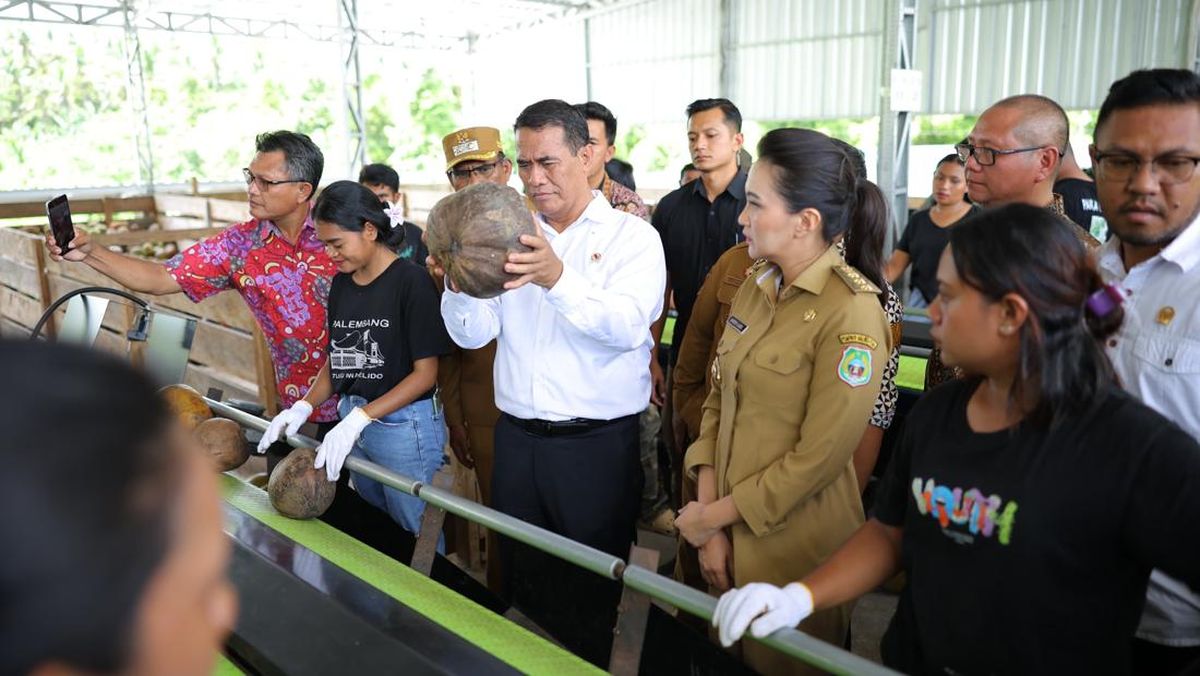 Bagian Hilirisasi, Mentan Minta Kenaikan Harga Beli Kelapa dari Petani