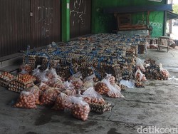 Brakk! Bus Sugeng Rahayu Seruduk Truk Muatan Telur di Kalasan Brakk! Bus Sugeng Rahayu Seruduk Truk Muatan Telur di Kalasan