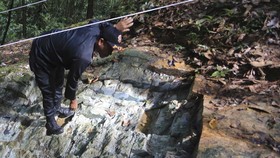 FOTO: Harta Karun 5.000 Ton Batu Giok di Hutan Nagan Raya Aceh