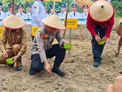 Dukung Swasembada Pangan, Polres Inhu Tanam Jagung di Lahan 10 Hektare Dukung Swasembada Pangan, Polres Inhu Tanam Jagung di Lahan 10 Hektare