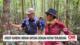 Kredit Karbon: Meraih Untung dengan Hutan Terlindung