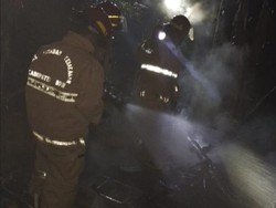 Korsleting Picu Kebakaran di Pamijahan Bogor, 19 Kambing Mati Terbakar