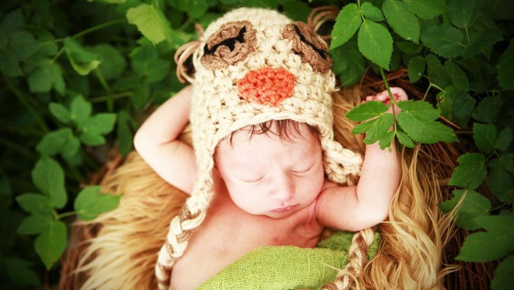 Nama bayi Nama bayi terinspirasi burung