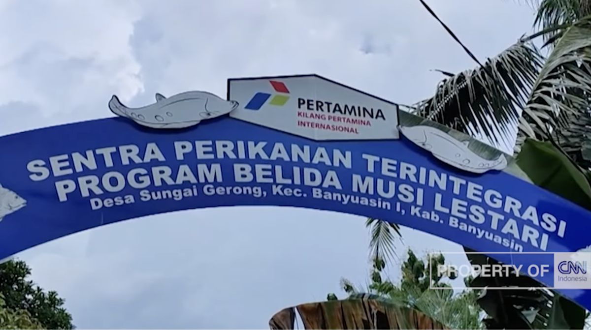 Pertamina Dukung Ekonomi Lokal di Sumsel Lewat Budidaya Ikan Belida