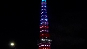 Cahaya Warna-Warni Tokyo Tower Sambut Kedatangan Trump ke Jepang