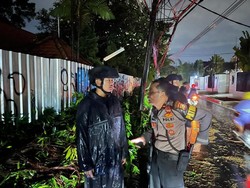 Brimob Polda Metro Sigap Evakuasi Pohon Tumbang di Jaksel, Lalin Normal Lagi Brimob Polda Metro Sigap Evakuasi Pohon Tumbang di Jaksel, Lalin Normal Lagi