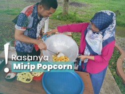 Coba Bikin Keripik Jengkol dan Macan Ketawa, Camilan dari Serang