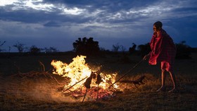 FOTO: Suku Maasai Hidup Berdampingan dengan Satwa Liar di Cagar Alam