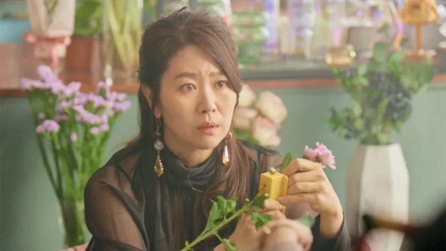 Pemain Drama Typhoon Family Pemain Drama Typhoon Family