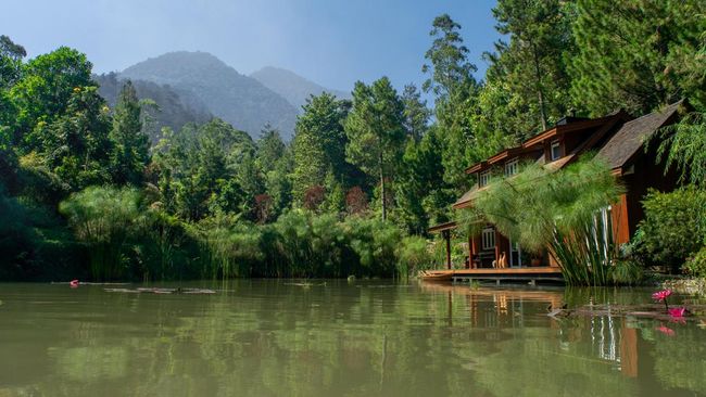 Sinergi Strategis TWB & Kozystay Tingkatkan Kelas Vila Premium Bandung Taman Wisata Bougenville berkolaborasi dengan Kozystay untuk optimalkan operasional 28 vila premium demi meningkatkan pengalaman menginap eksklusif di Bandung.