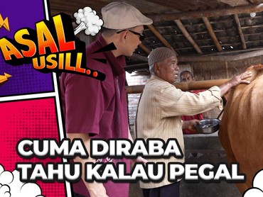 Mbah Dul Tukang Pijat Sapi Asal Bantul Bisa Bikin Hewan Jadi Relaks 