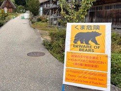 Pemburu-pemburu Jepang Menua, Beruang Merajalela