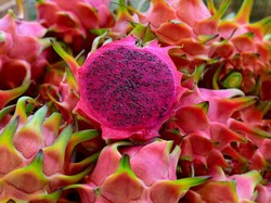 Manfaat Buah Naga untuk Kesehatan & Resep Bikin Dragon Fizz Manfaat Buah Naga untuk Kesehatan & Resep Bikin Dragon Fizz