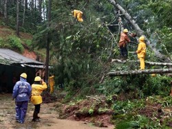 Longsor di Jalan Raya Garut-Pameungpeuk, Arus Lalun Terganggu Longsor di Jalan Raya Garut-Pameungpeuk, Arus Lalun Terganggu