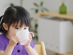 Jamu Penambah Nafsu Makan, Aman atau Berisiko untuk Anak? Jamu Penambah Nafsu Makan, Aman atau Berisiko untuk Anak?