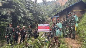 Ada 411 Lubang Tambang Emas & 1.119 Pondok di Gunung Halimun Salak