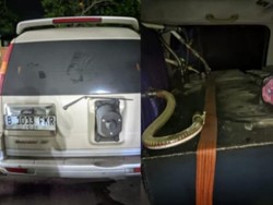 Mobil Modifikasi Angkut Solar Subsidi Terungkap di Bogor, 1 Orang Ditangkap Mobil Modifikasi Angkut Solar Subsidi Terungkap di Bogor, 1 Orang Ditangkap