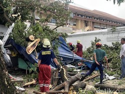 Pohon Trembesi di Masjid Agung Solo Tumbang, Timpa Warung-6 Motor Pohon Trembesi di Masjid Agung Solo Tumbang, Timpa Warung-6 Motor