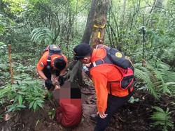 Empat Pendaki Lansia Asal Buleleng Kelelahan di Gunung Batukaru Tabanan Empat Pendaki Lansia Asal Buleleng Kelelahan di Gunung Batukaru Tabanan