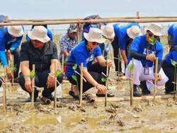 Upaya DLHK Gandeng Swasta Hijaukan Pesisir Pantai Karawang Upaya DLHK Gandeng Swasta Hijaukan Pesisir Pantai Karawang