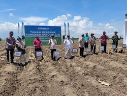 Dukung Hilirisasi Gula, SGN-Kementan Bantu Benih Tebu Petani Sidoarjo Dukung Hilirisasi Gula, SGN-Kementan Bantu Benih Tebu Petani Sidoarjo